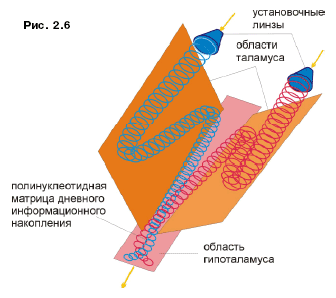 арсенал долговременной памяти - student2.ru