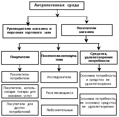 Атмосфера магазина и выкладка товаров - student2.ru