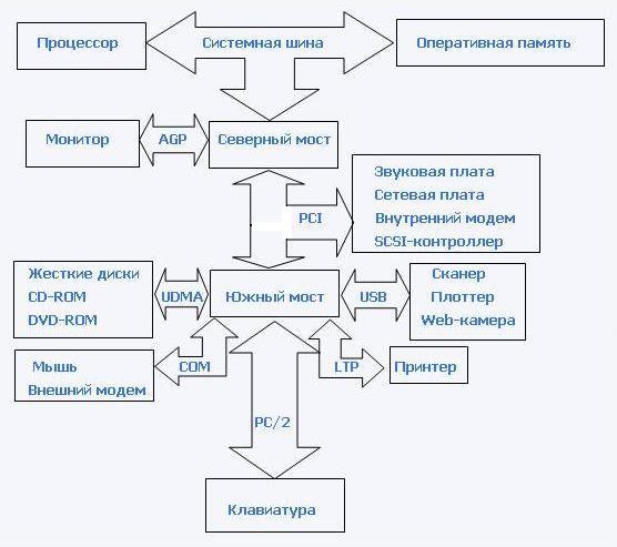 Частота процессора, системной шины и шин периферийных устройств - student2.ru