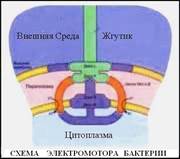 Чёрная книга, написанная белыми 1 страница - student2.ru