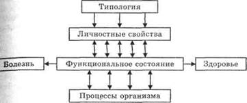 Цифровой тест «Социотип» - student2.ru