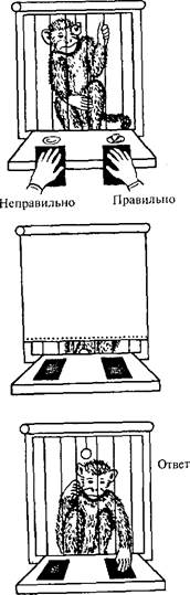 Декларативная и процедурная память - student2.ru