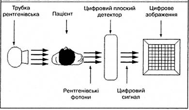 Формирование и свойства рентгеновского изображения. Основные факторы, которые определяют информативность рентгеновского изображения - student2.ru