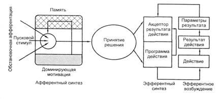 Функциональная система поведенческого акта - student2.ru