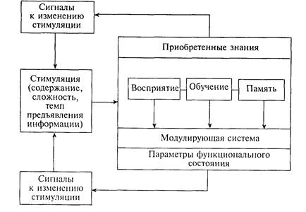 глава 11. педагогическая психофизиология - student2.ru