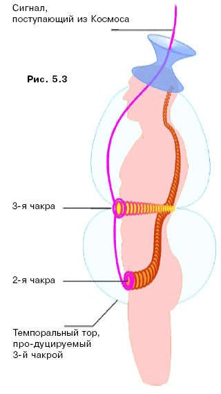 глава 5. энергетические центры человека 2 страница - student2.ru