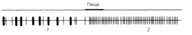 Глава 7. Потребности, мотивации, эмоции - student2.ru