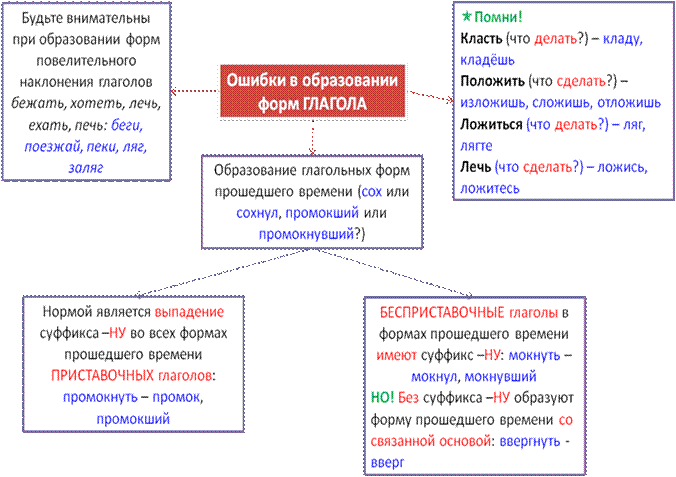 Именительный падеж множественного числа (окончания –а или –ы) - student2.ru