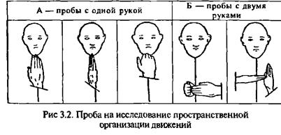 Исследование двигательной сферы - student2.ru