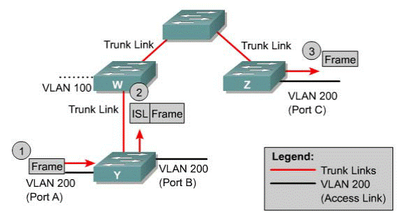 Изучение виртуальных локальных сетей VLAN - student2.ru