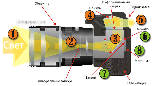 Как устроен цифровой зеркальный фотоаппарат - student2.ru