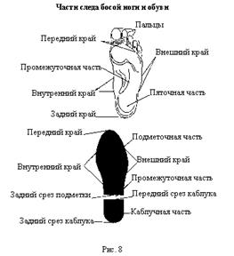 Классификация следов, правила их обнаружения и изъятия - student2.ru