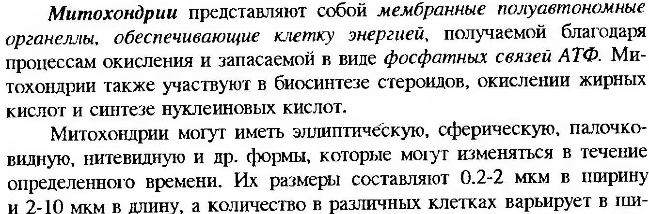 Клеточный конвейер при синтезе белка. Хар-ка клетки - student2.ru