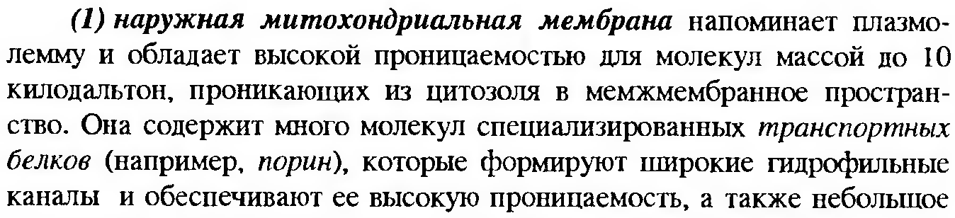 Клеточный конвейер при синтезе белка. Хар-ка клетки - student2.ru