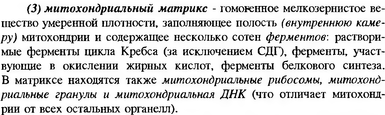 Клеточный конвейер при синтезе белка. Хар-ка клетки - student2.ru