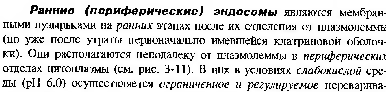 Клеточный конвейер при синтезе белка. Хар-ка клетки - student2.ru