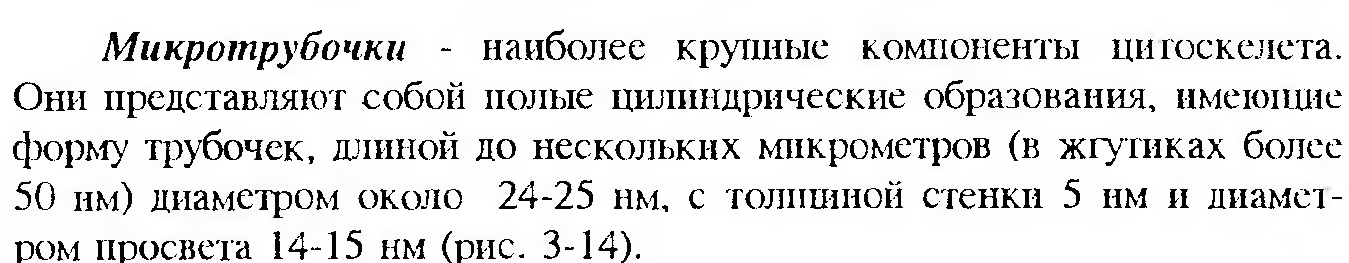 Клеточный конвейер при синтезе белка. Хар-ка клетки - student2.ru