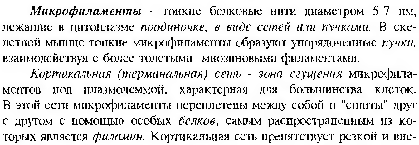 Клеточный конвейер при синтезе белка. Хар-ка клетки - student2.ru