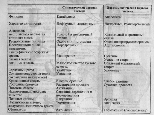 Краткое описание строения нервной системы - student2.ru