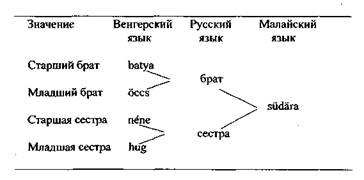 Лексико-семантические группировки слов в лексической подсистеме языка - student2.ru