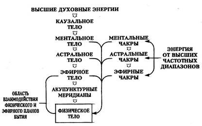 Механизмы радионики и радиэстезии: связь между системой чакр и нервной системой - student2.ru