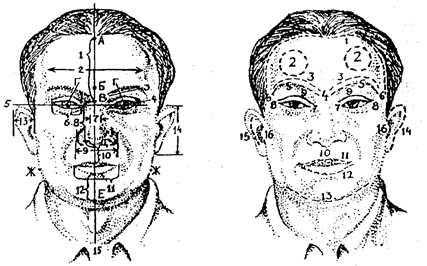 Методика описания признаков внешности человека (метод словесного портрета) - student2.ru