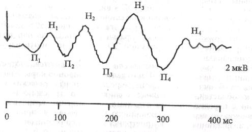 методы исследования высшей нервной деятельности. электроэнцефалограмма детей - student2.ru