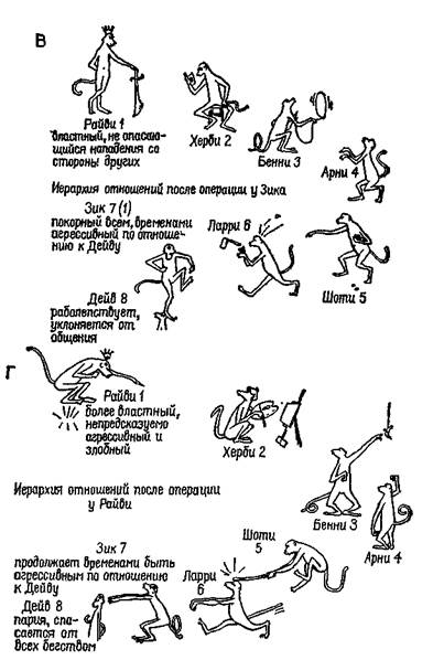 модификаторы гомеостатов - student2.ru