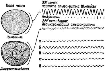 модификаторы гомеостатов - student2.ru