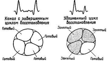 модификаторы гомеостатов - student2.ru