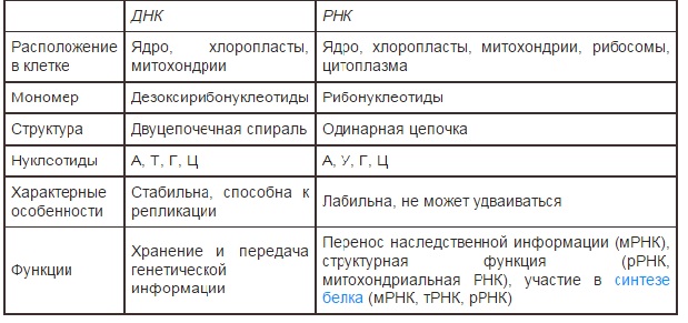 Наследственность и изменчивость – фундаментальные свойства живого. Общее понятие о генетическом материале и его свойствах - student2.ru