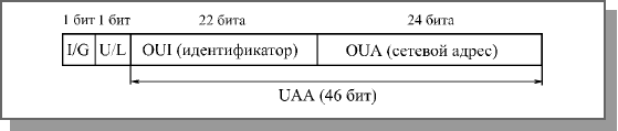 Назначение пакетов и их структура - student2.ru