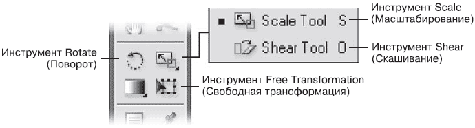 Назначение заливки и абриса - student2.ru