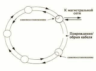 Обоснование выбора топологии сети - student2.ru