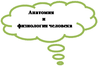 Основным показателем нормальной микрофлоры кишечника являются преобладание кишечной палочки и особенно бифидобактерий и лактобактерий - student2.ru