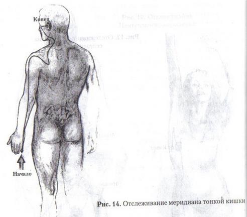 отслеживание меридианов - student2.ru