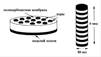 Перспективные направления развития спинтроники - student2.ru