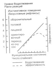 Понятия и нейроанатомия функционального состояния организма - student2.ru