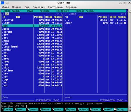 Практическая работа №9. Работа в оболочке ОС Linux. Файловый менеджер Midnight Commander (MC). Создание собственной иерархической структуры - student2.ru