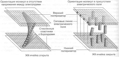 принцип работы и типы жк-матриц - student2.ru