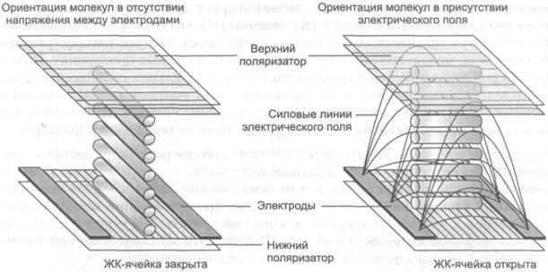 принцип работы и типы жк-матриц - student2.ru