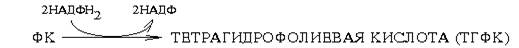 Различия в катаболизме пуриновых и пиримидиновых азотистых оснований - student2.ru