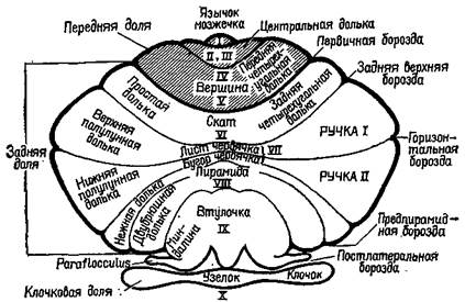 сервоконтроль мышечных сокращений - student2.ru