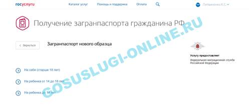 Шаг 1. Выбор услуги в личном кабинете. Инструкция по оформлению загранпаспорта через Госуслуги - student2.ru