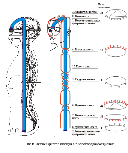 Система чакр в тибетской тантре - student2.ru