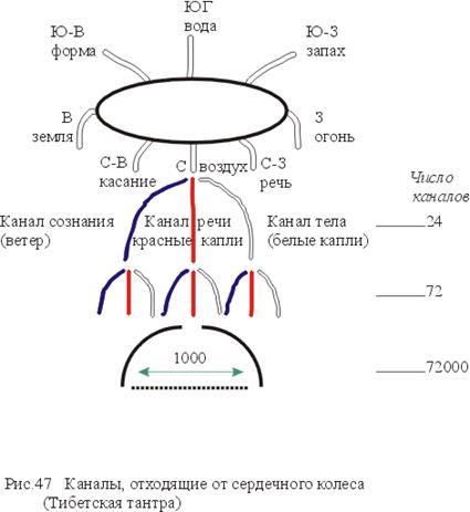 Система чакр в тибетской тантре - student2.ru