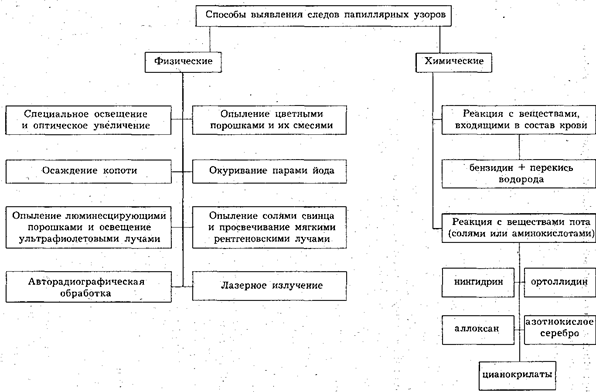 Следы человека (антропоскопия) - student2.ru