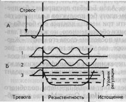 Стадии развития стресса - student2.ru