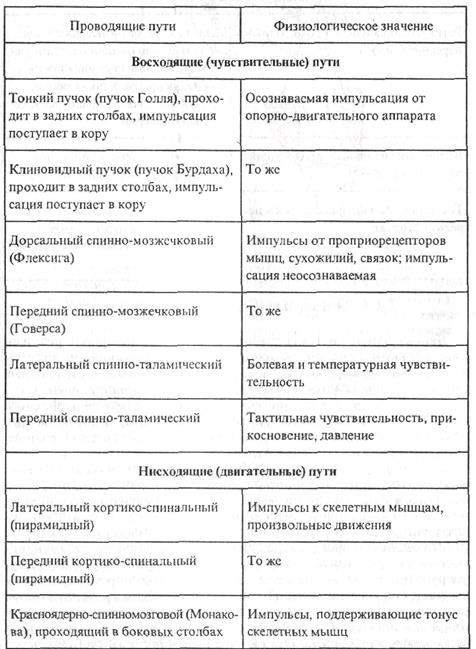 Структурно-функциональная характеристика - student2.ru