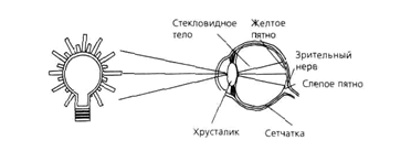 Свет и восприятие изображения - student2.ru